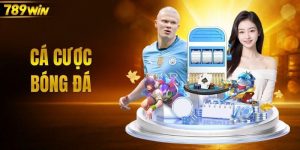 Cá cược bóng đá