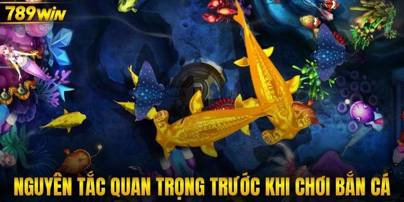 Các nguyên tắc quan trọng trước khi chơi bắn cá