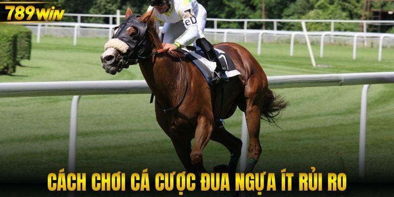 Cách chơi cá cược đua ngựa ít rủi ro