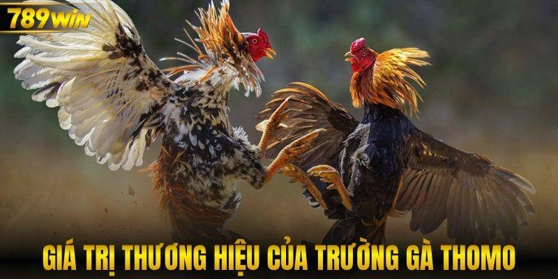 Giá trị thương hiệu của trường gà Thomo