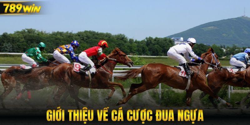 Giới thiệu về cá cược đua ngựa