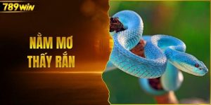 Nằm mơ thấy rắn