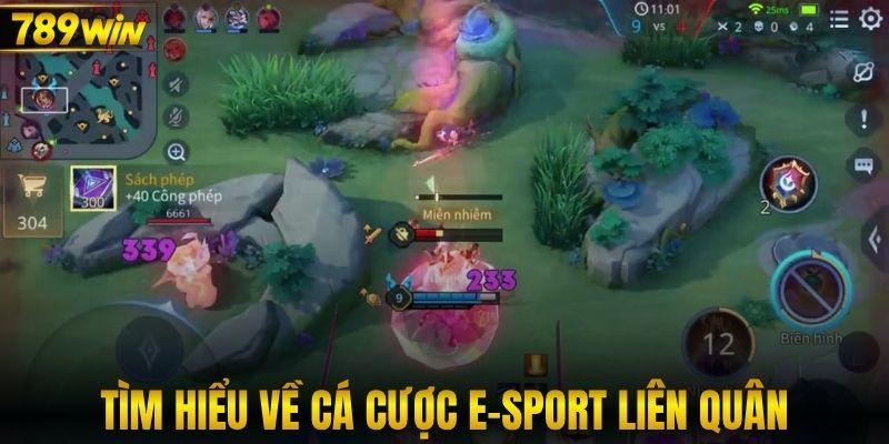 Tìm hiểu về cá cược e-sport Liên Quân